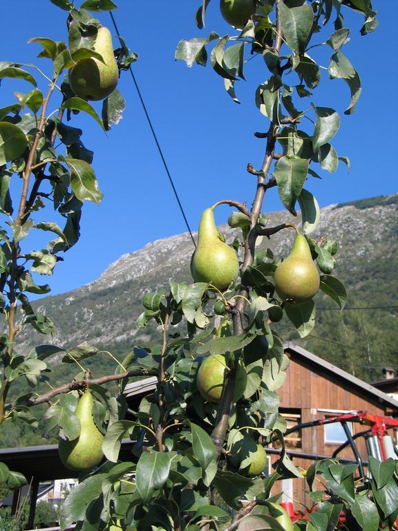Tourist Farm Zvanc Kobarid Exterior foto